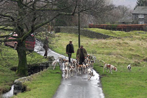 Fell Foxhunting images by Betty Fold Gallery Hawkshead